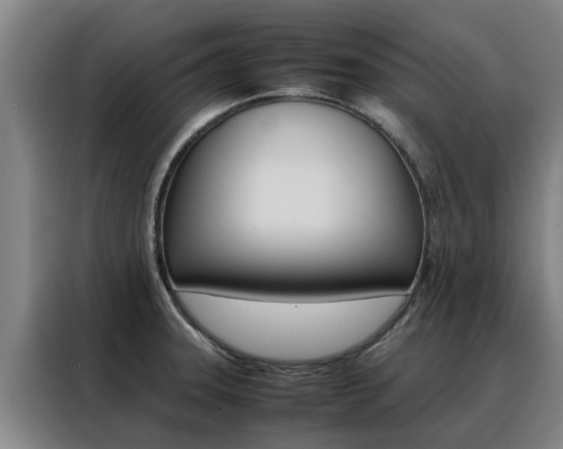 X0000088401331200705220813