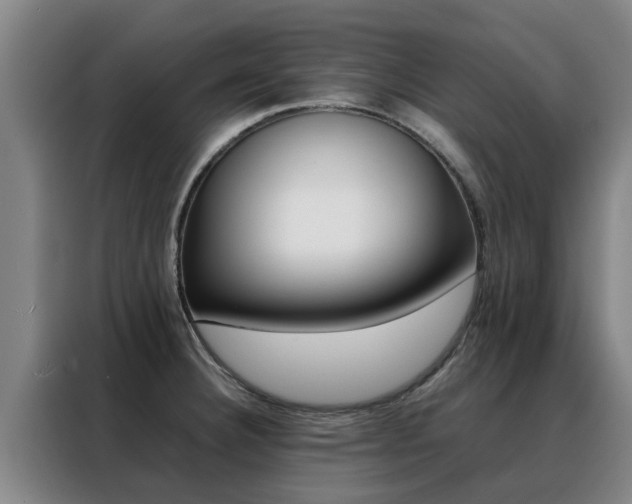 X0000088401332200705220813