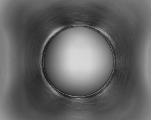 X0000088401333200705220813