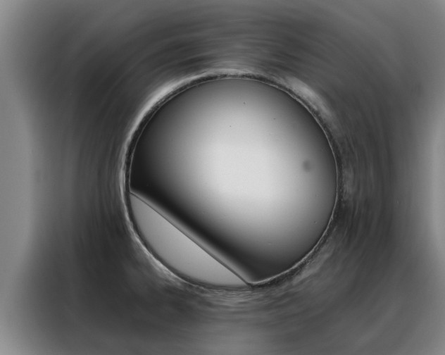 X0000088401334200705220813