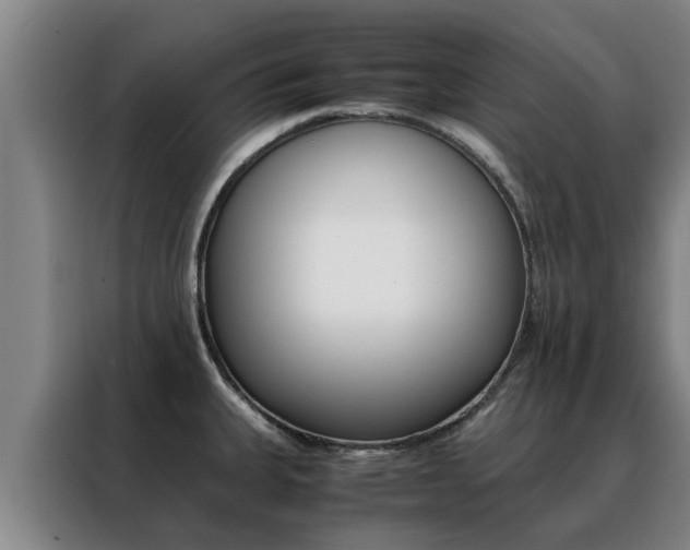 X0000088401335200705220813