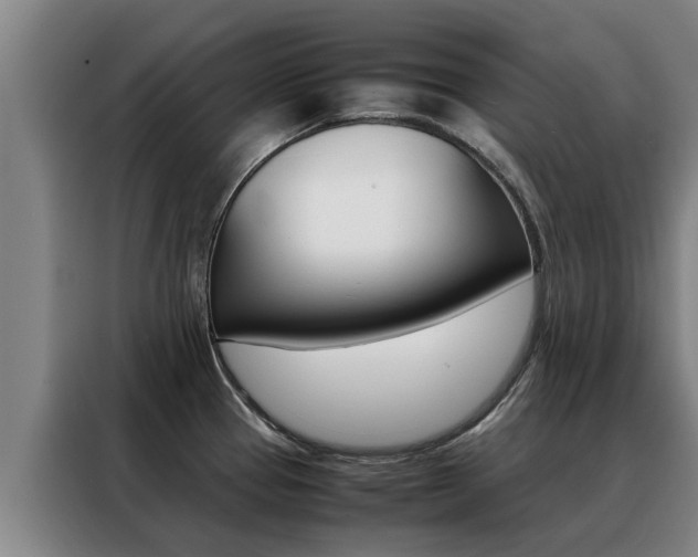 X0000088401337200705220813