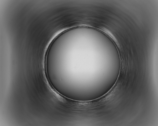 X0000088401339200705220813