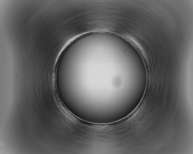 X0000088401340200705220813