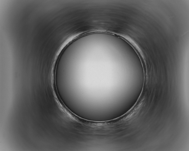 X0000088401341200705220813
