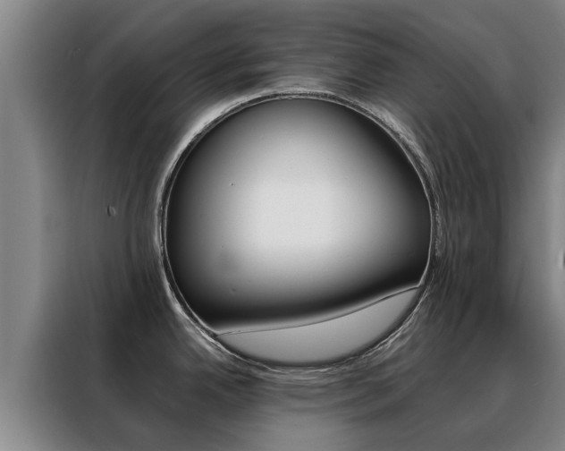 X0000088401342200705220814