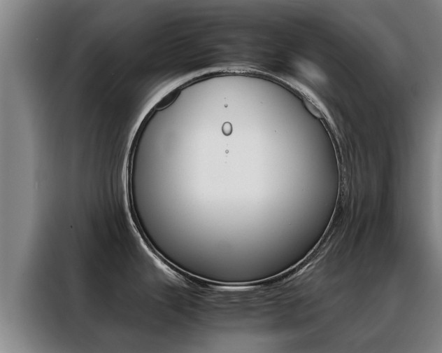 X0000088401343200705220814