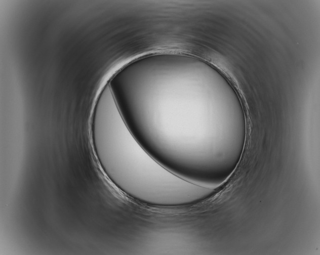 X0000088401344200705220814