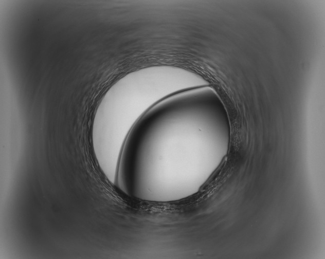 X0000088401345200705220813