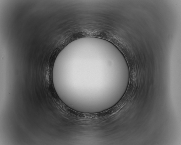 X0000088401346200705220813