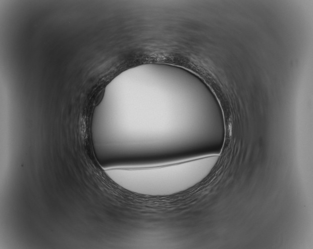 X0000088401347200705220813