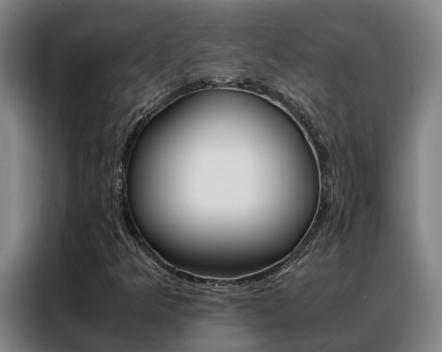 X0000088401349200705220813