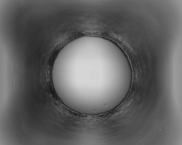 X0000088401350200705220813