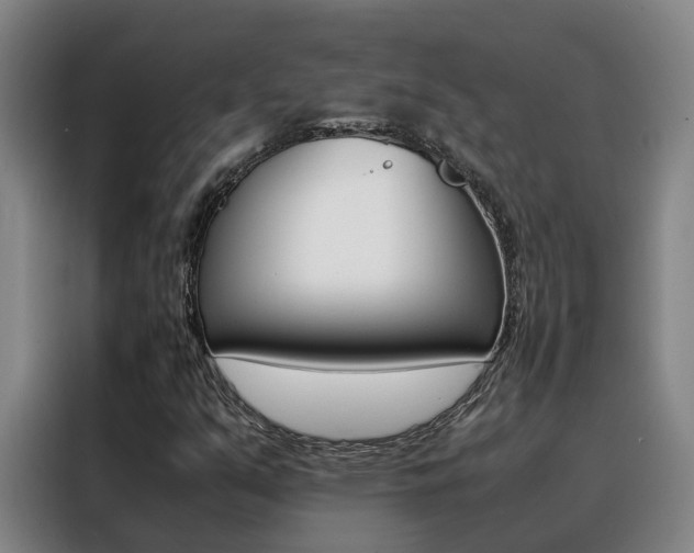 X0000088401351200705220813