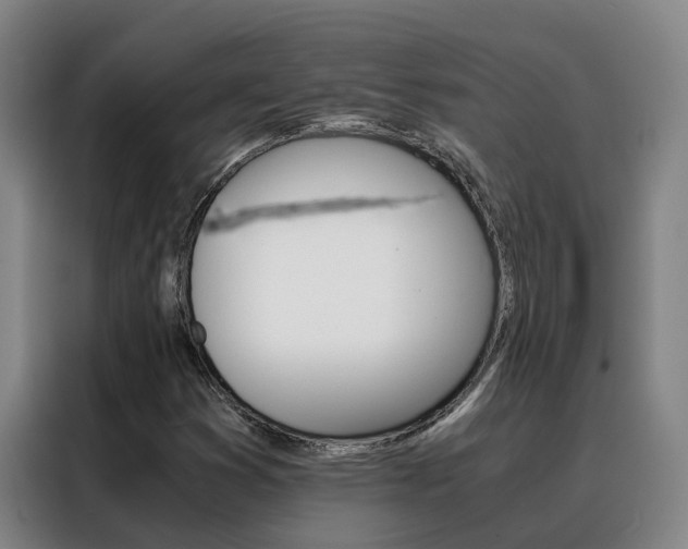 X0000088401353200705220813