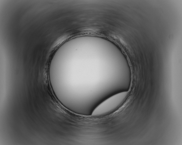 X0000088401354200705220813