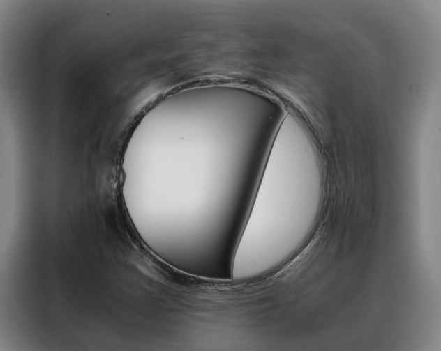 X0000088401355200705220813