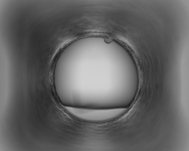 X0000088401357200705220813