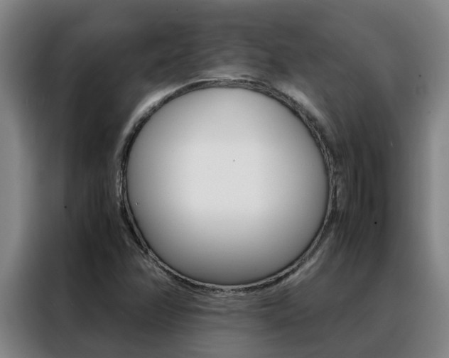 X0000088401358200705220813