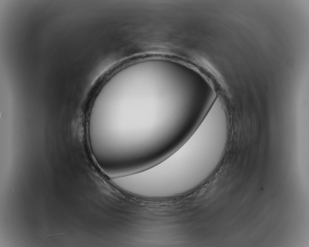 X0000088401360200705220813