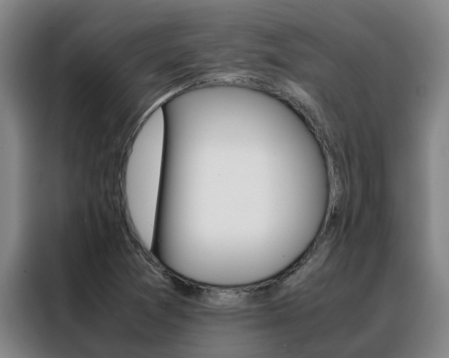 X0000088401361200705220813