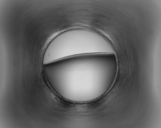 X0000088401363200705220813