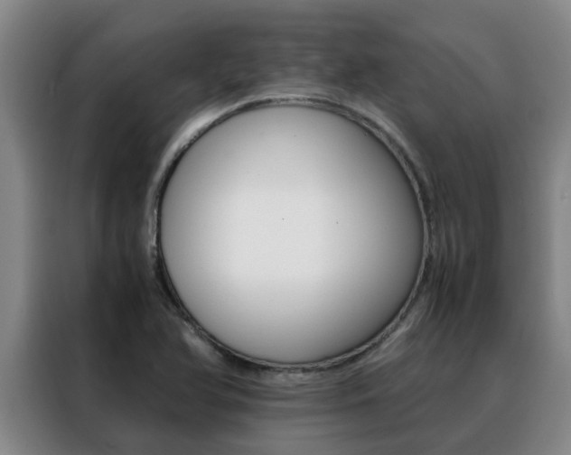 X0000088401366200705220813