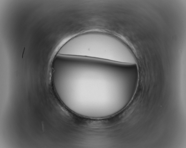 X0000088401367200705220813