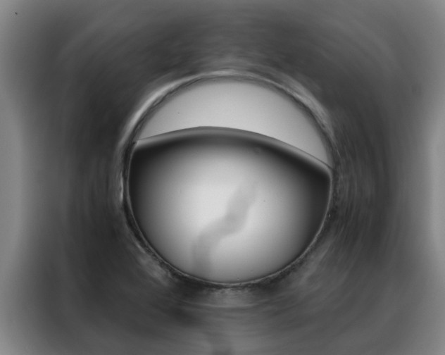 X0000088401368200705220813