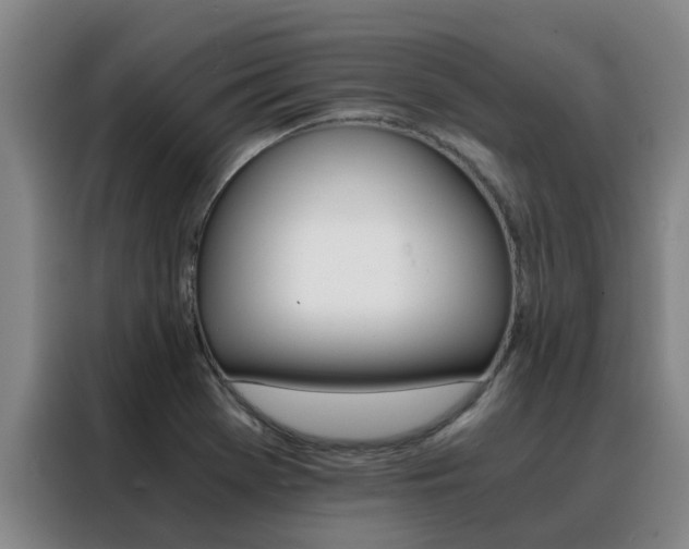 X0000088401369200705220813