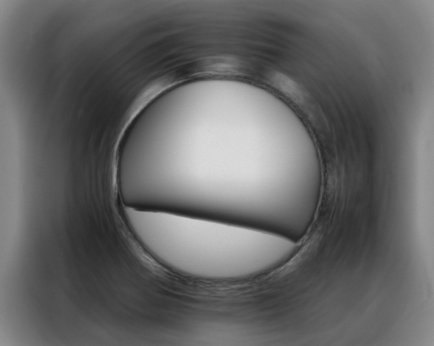 X0000088401370200705220813