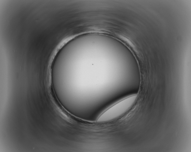X0000088401371200705220813
