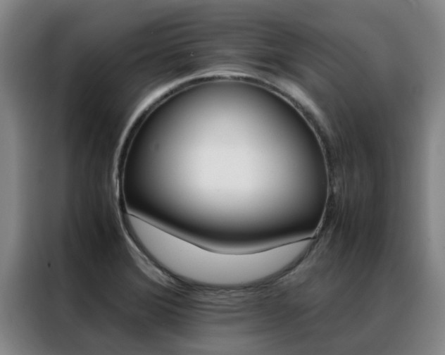 X0000088401372200705220813