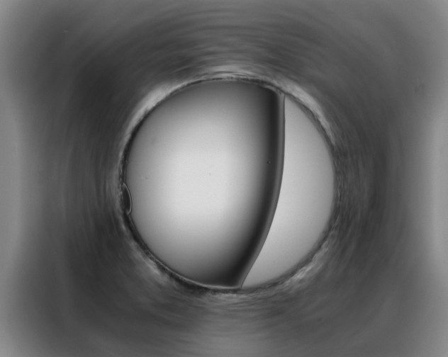 X0000088401373200705220813