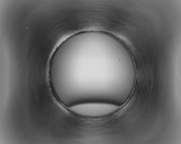 X0000088401374200705220813