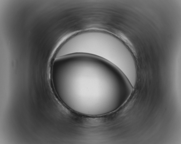 X0000088401376200705220812