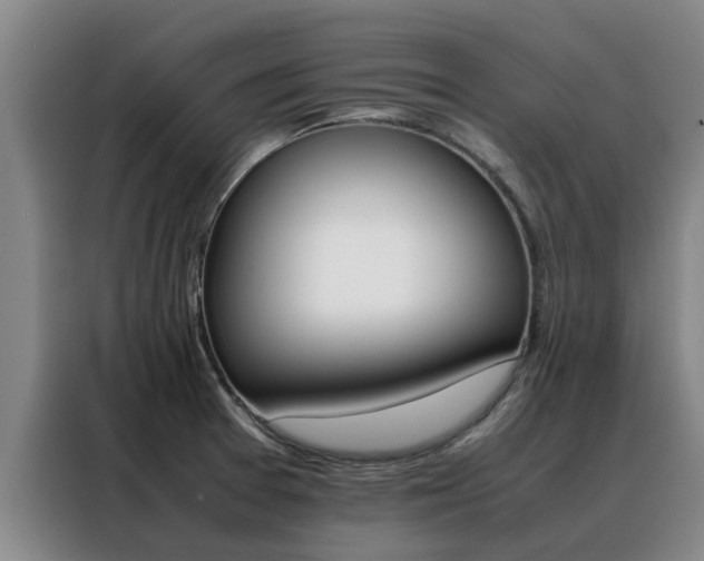 X0000088401377200705220812