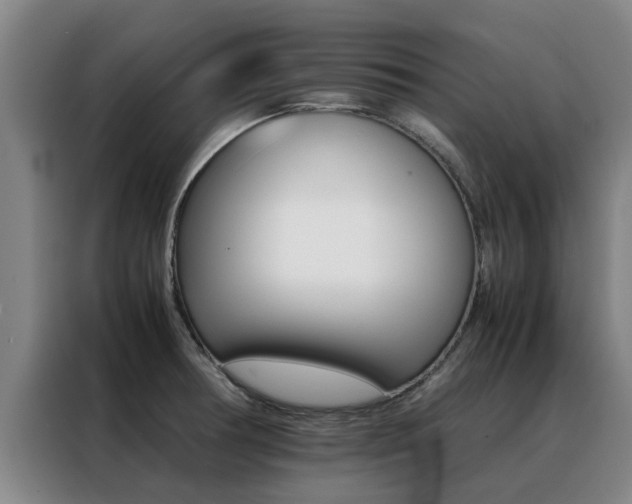 X0000088401378200705220812
