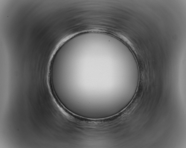 X0000088401379200705220812
