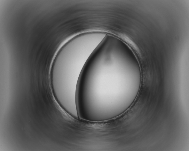 X0000088401380200705220812
