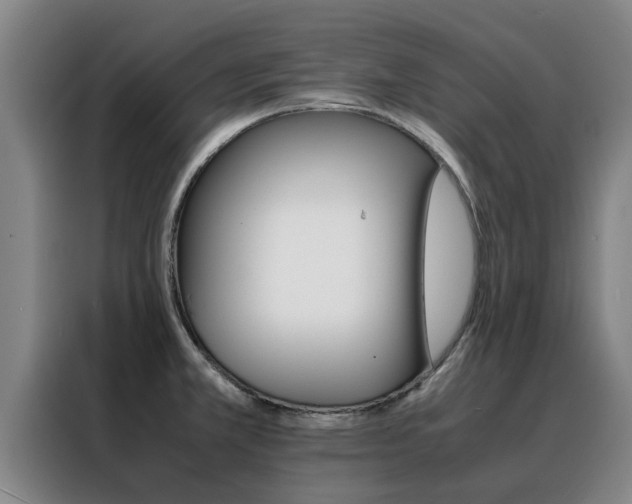 X0000088401381200705220812