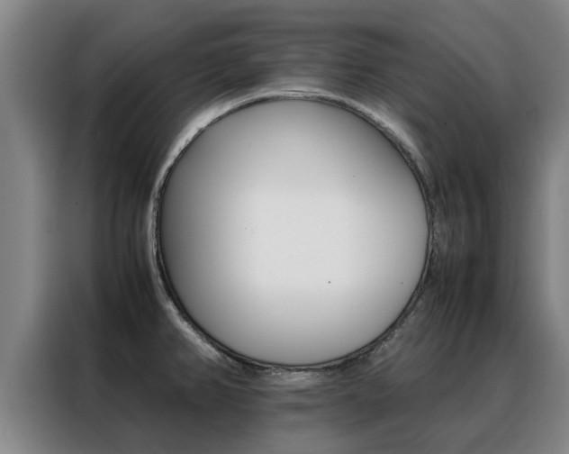 X0000088401382200705220812