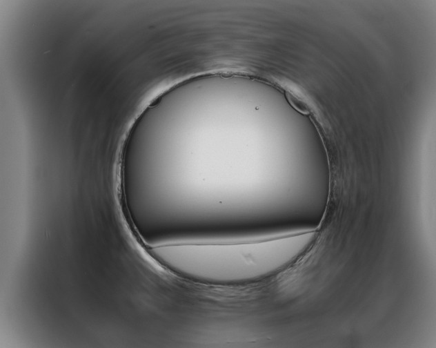 X0000088401383200705220812