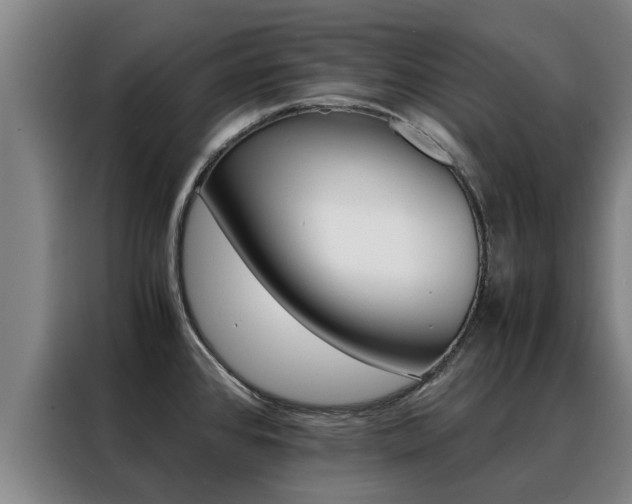 X0000088401384200705220812