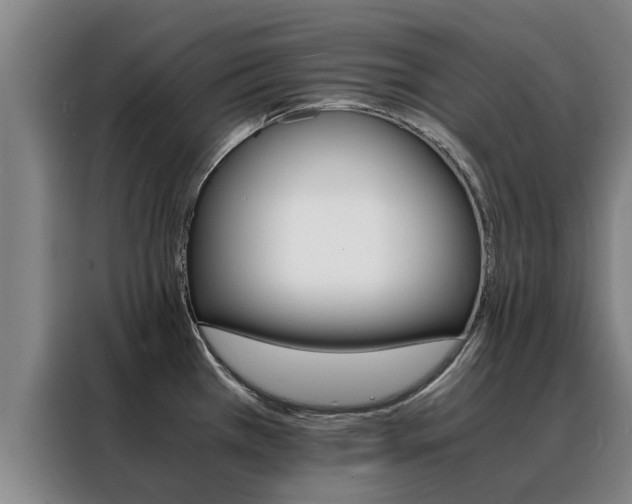 X0000088401385200705220812