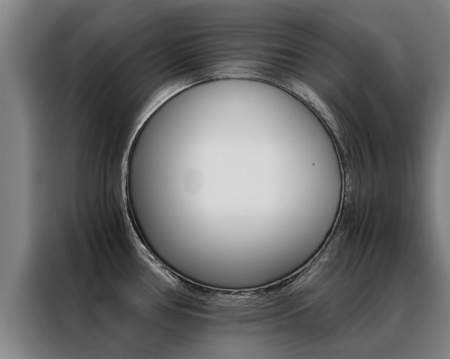 X0000088401386200705220812