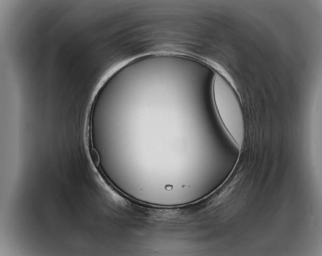 X0000088401387200705220812
