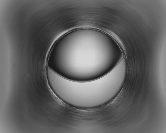 X0000088401388200705220812