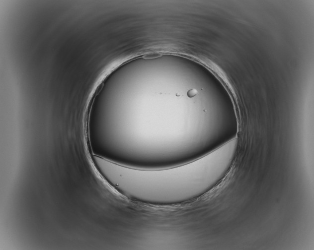 X0000088401389200705220812