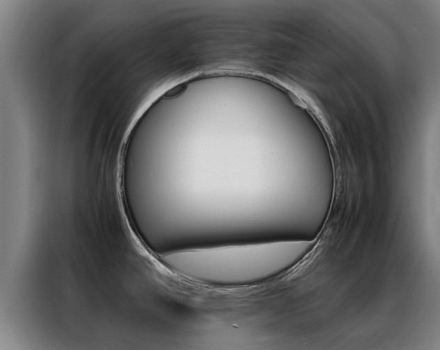 X0000088401390200705220812
